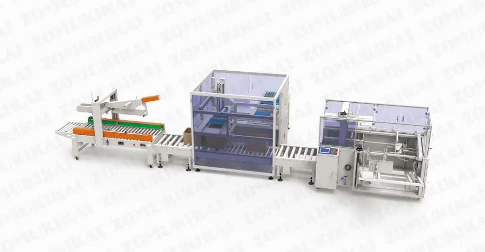ZC-PP400 Pick-and-Place Kartonverpackungsmaschine mit Vakuumsystem für Beutelprodukte