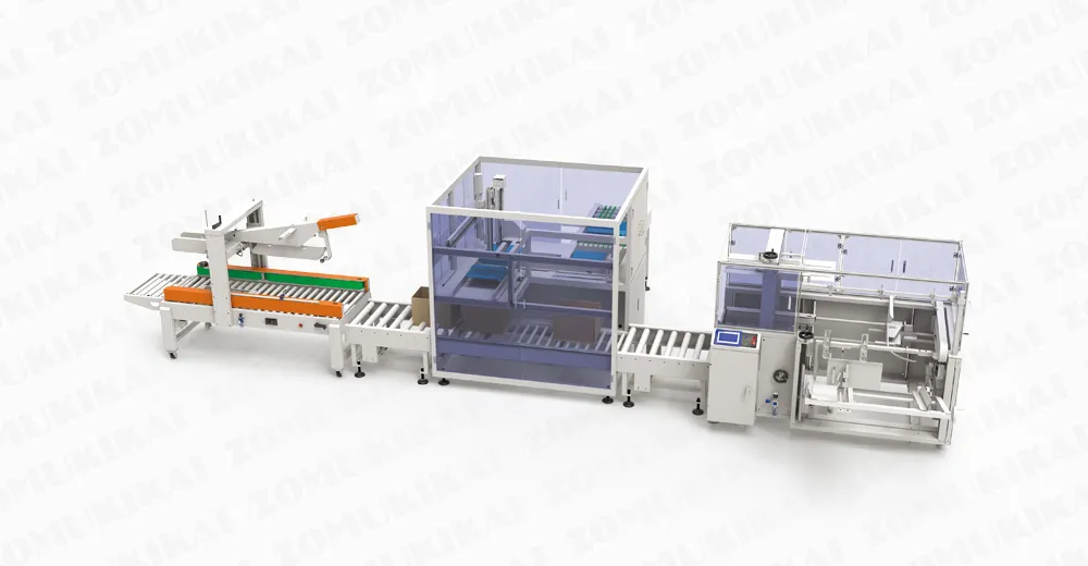 ZC-PP400 Pick-and-Place Kartonverpackungsmaschine mit Vakuumsystem für Beutelprodukte